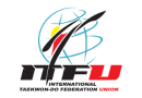 FT Internacional